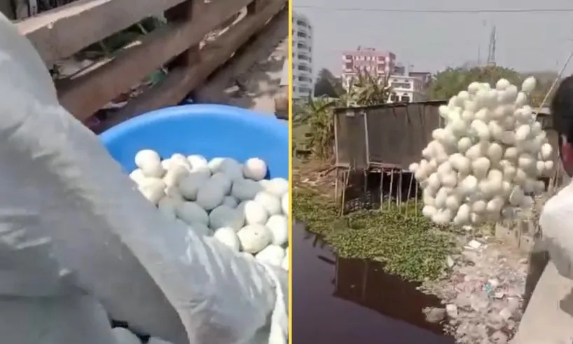 প্লাস্টিকের ডিম বিক্রির অভিযোগে বিক্রেতা আটক, ডিম নষ্ট